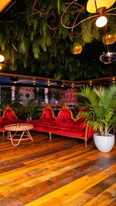 big room with a red sofa and lots green plants
